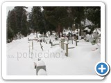 Cmentarz w Pobiednej zimą